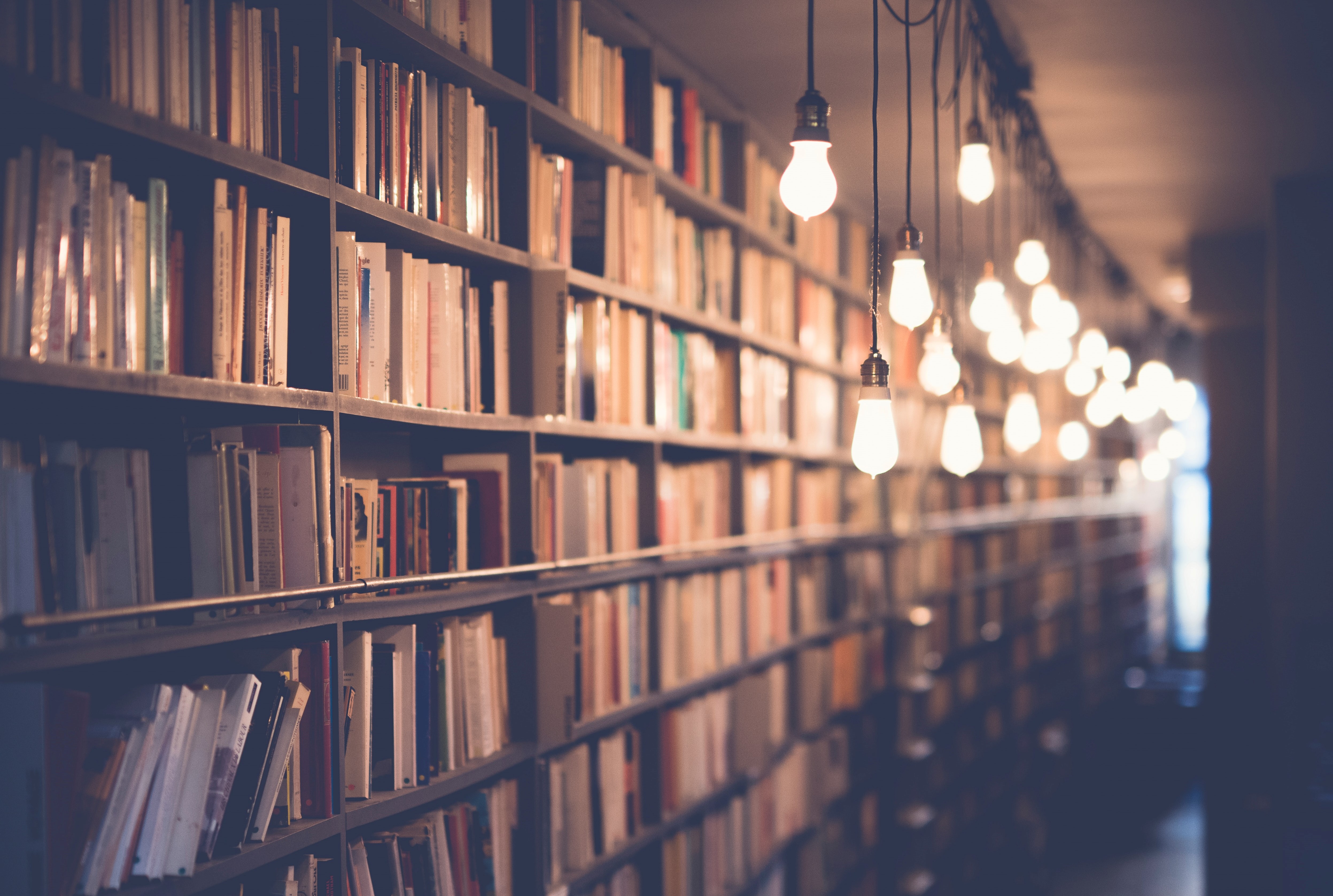 Photo by:Janko Ferlic on Unsplash