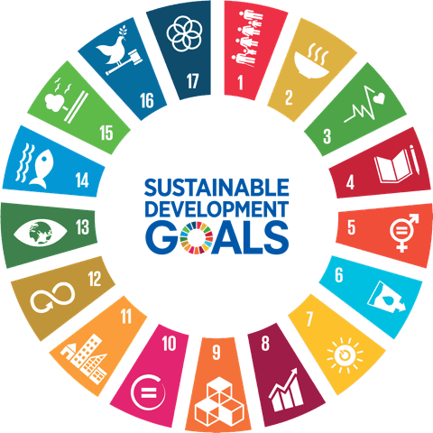 UN SDGs 